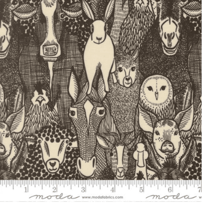 Hovedbilde The Henhouse Iron 48431 20 