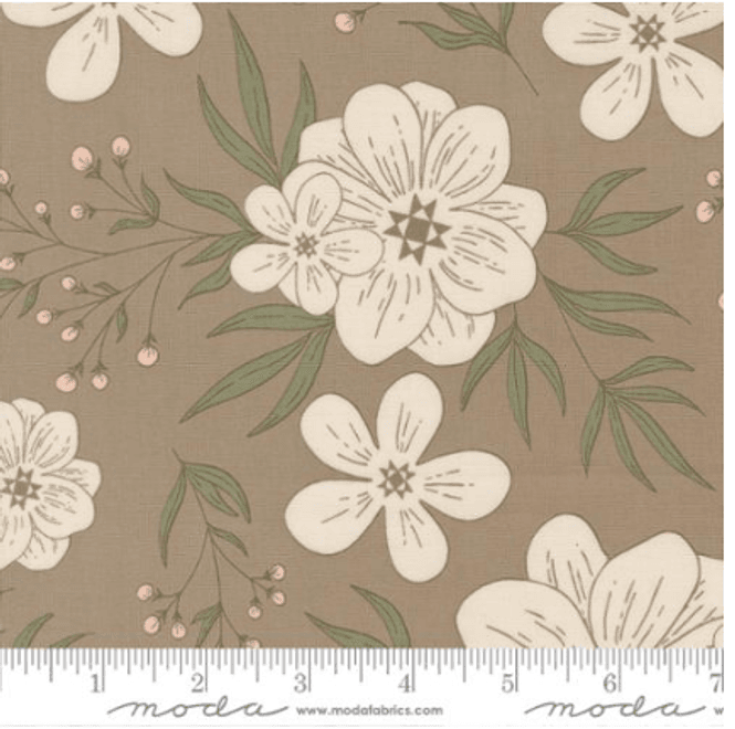 Hovedbilde Potted Star Bloom Ash 26140 13